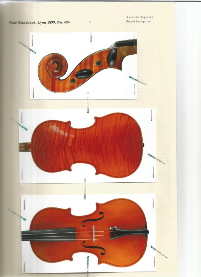 Geige Hammerl